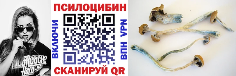 Галлюциногенные грибы прущие грибы  Лукоянов 